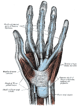 hand1.gif