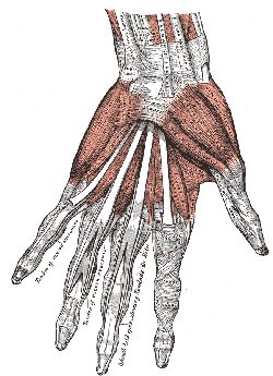 hand2.gif